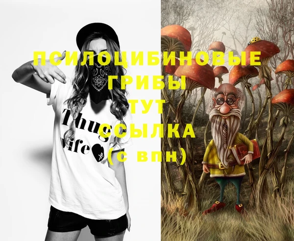 прущий лед Алзамай