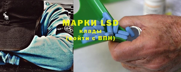 прущий лед Алзамай