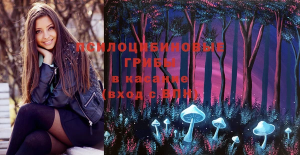 ешки Алексеевка