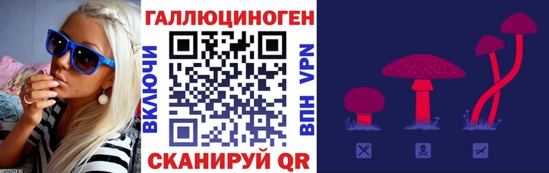 Псилоцибиновые грибы Psilocybe  кракен маркетплейс  Андреаполь 